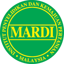 Mardi